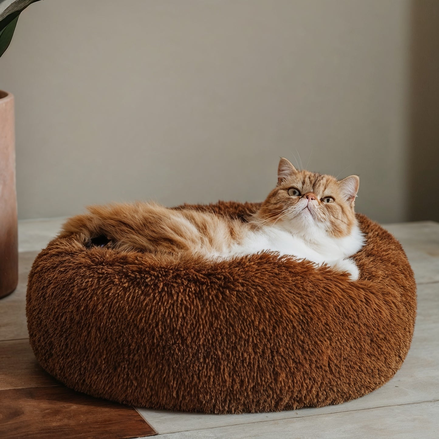 Calming Cat Bed