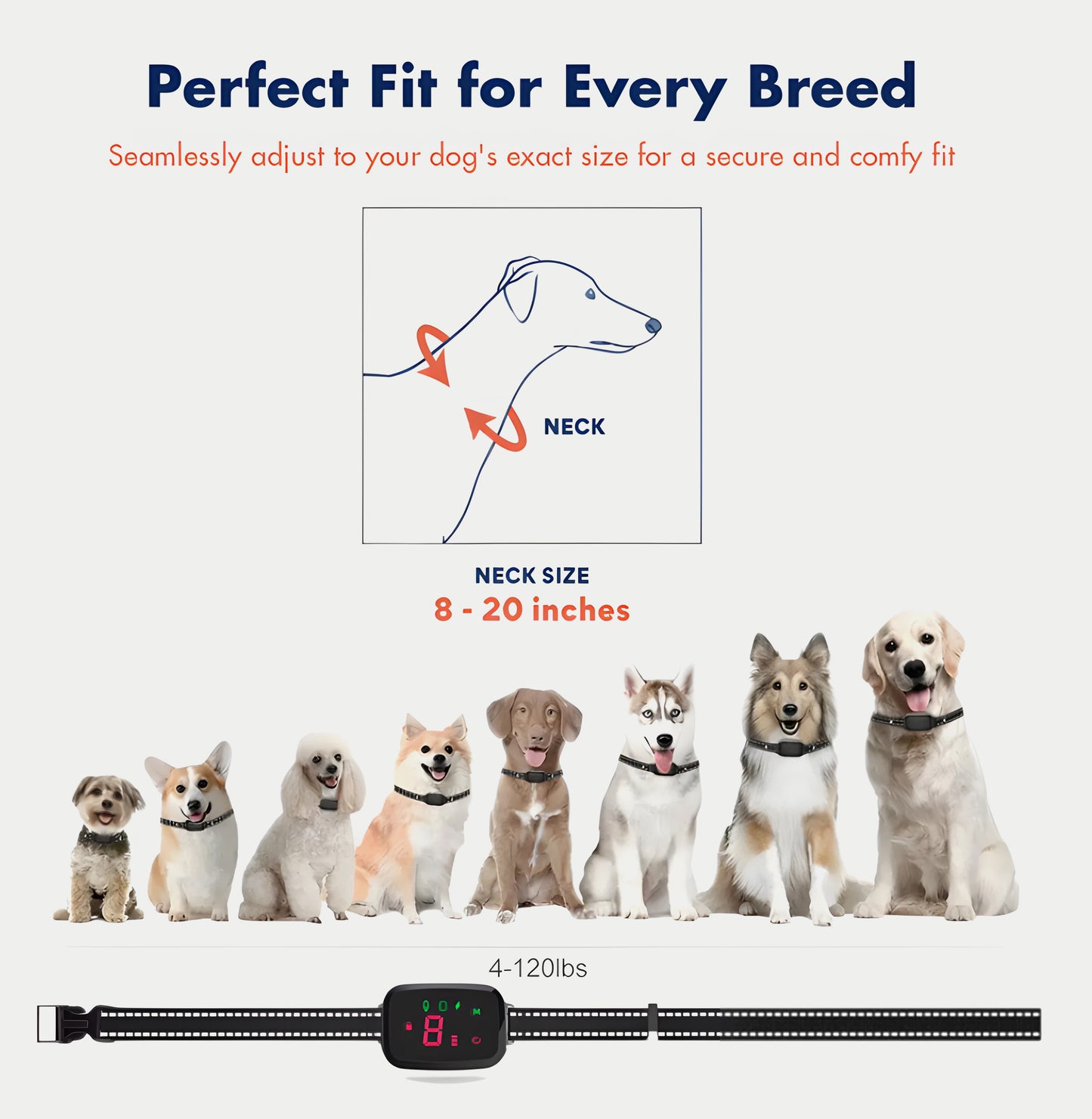 Anti Barking Dog Collar