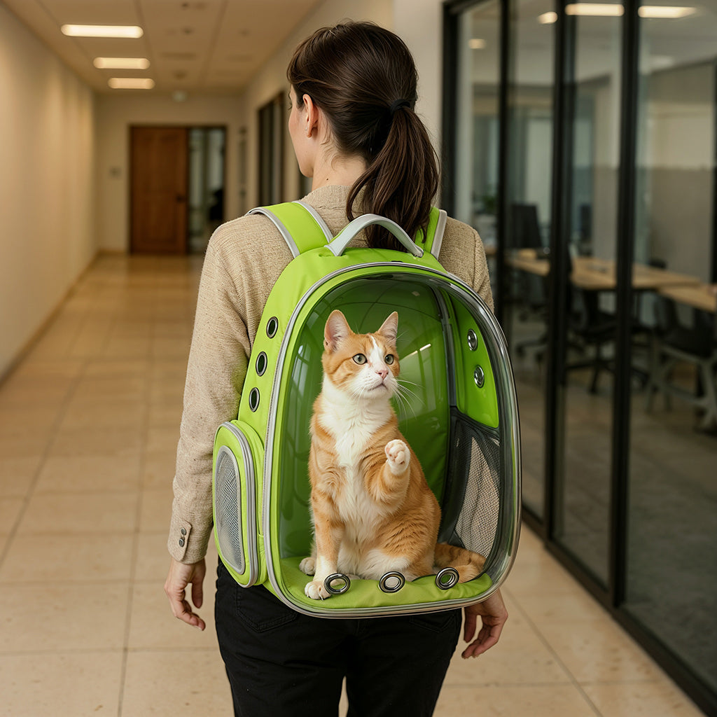 ClearView Dome Capsule Cat Backpack
