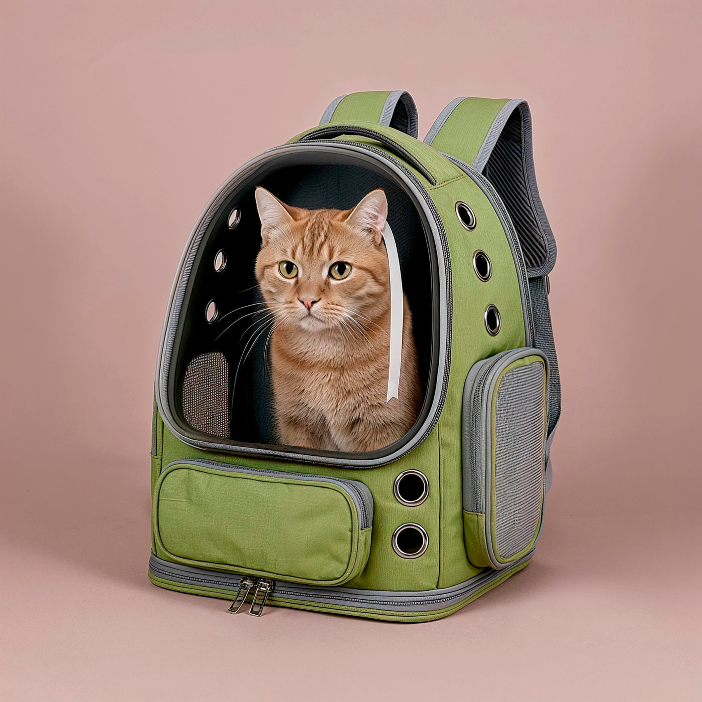 VistaPod Cat Backpack