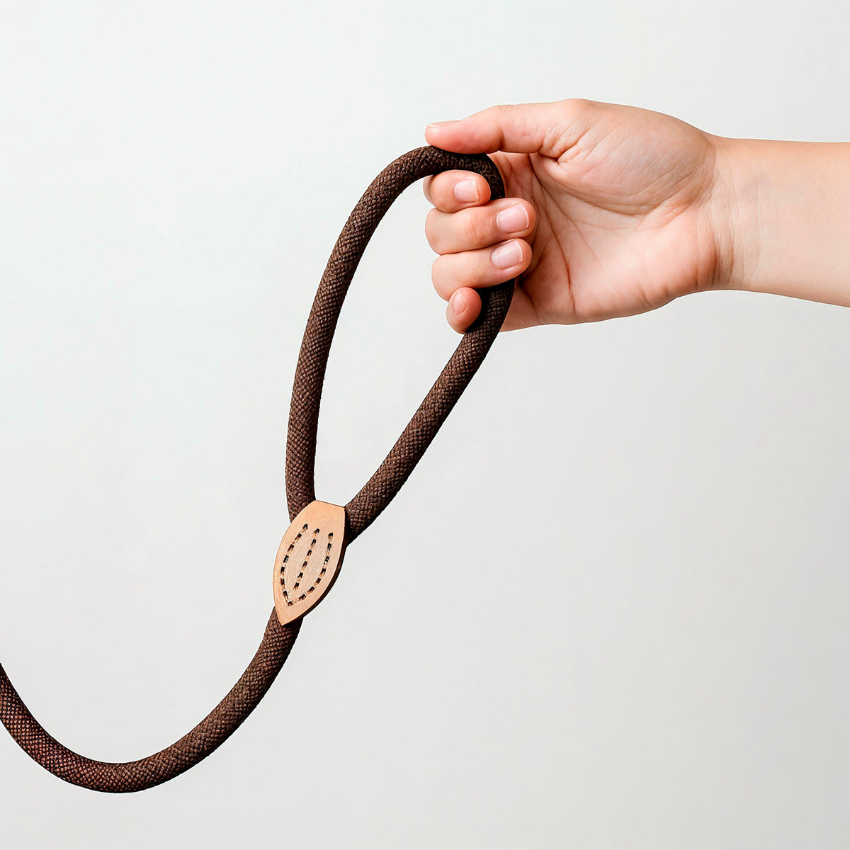 Furmark Slip on Dog Leash