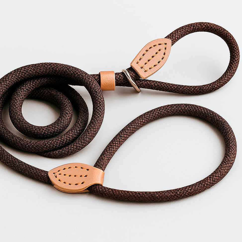 Furmark Slip on Dog Leash