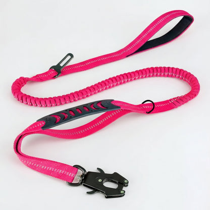 2-in-1 Walking & Car Safety Dog Leash