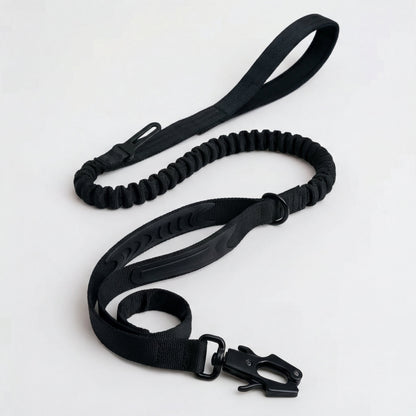 2-in-1 Walking & Car Safety Dog Leash