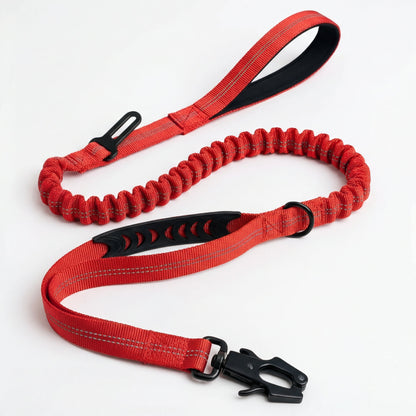 2-in-1 Walking & Car Safety Dog Leash