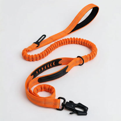 2-in-1 Walking & Car Safety Dog Leash