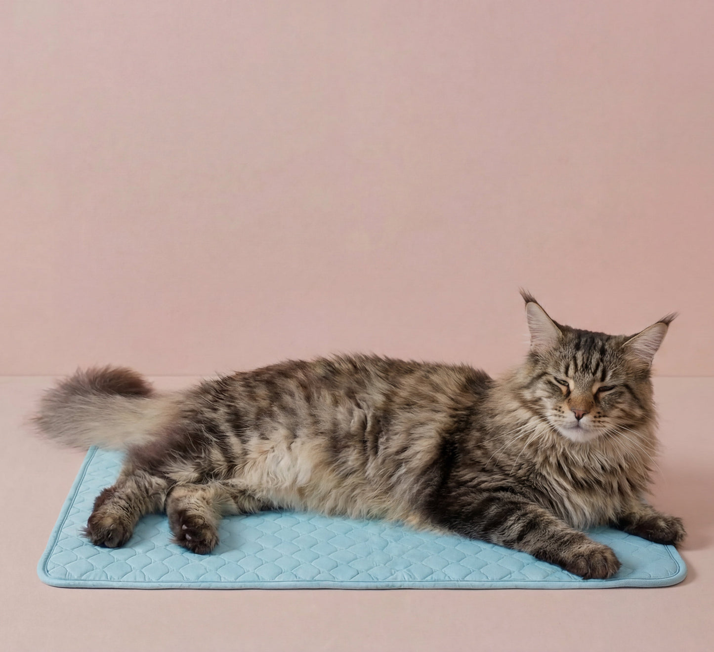 Cooling Mat for Dogs & Cats