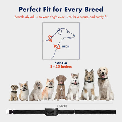 2 in 1 Wireless Dog Fence & Training Collar