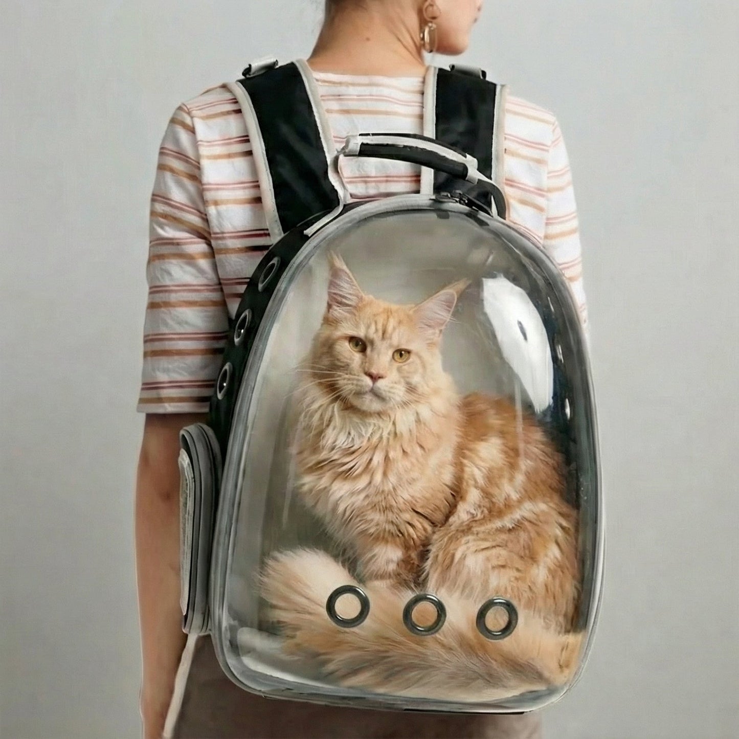 ClearView Dome Capsule Cat Backpack