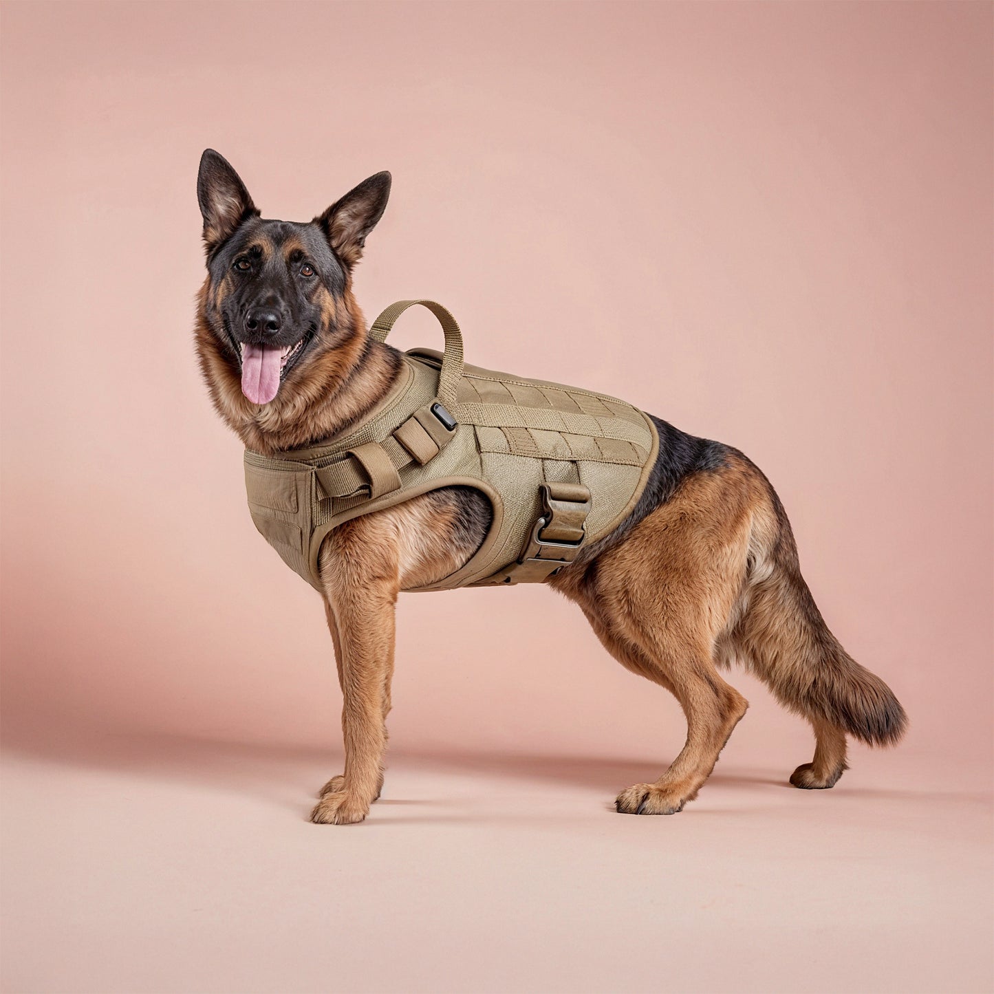 Duty-Grade Dog Harness