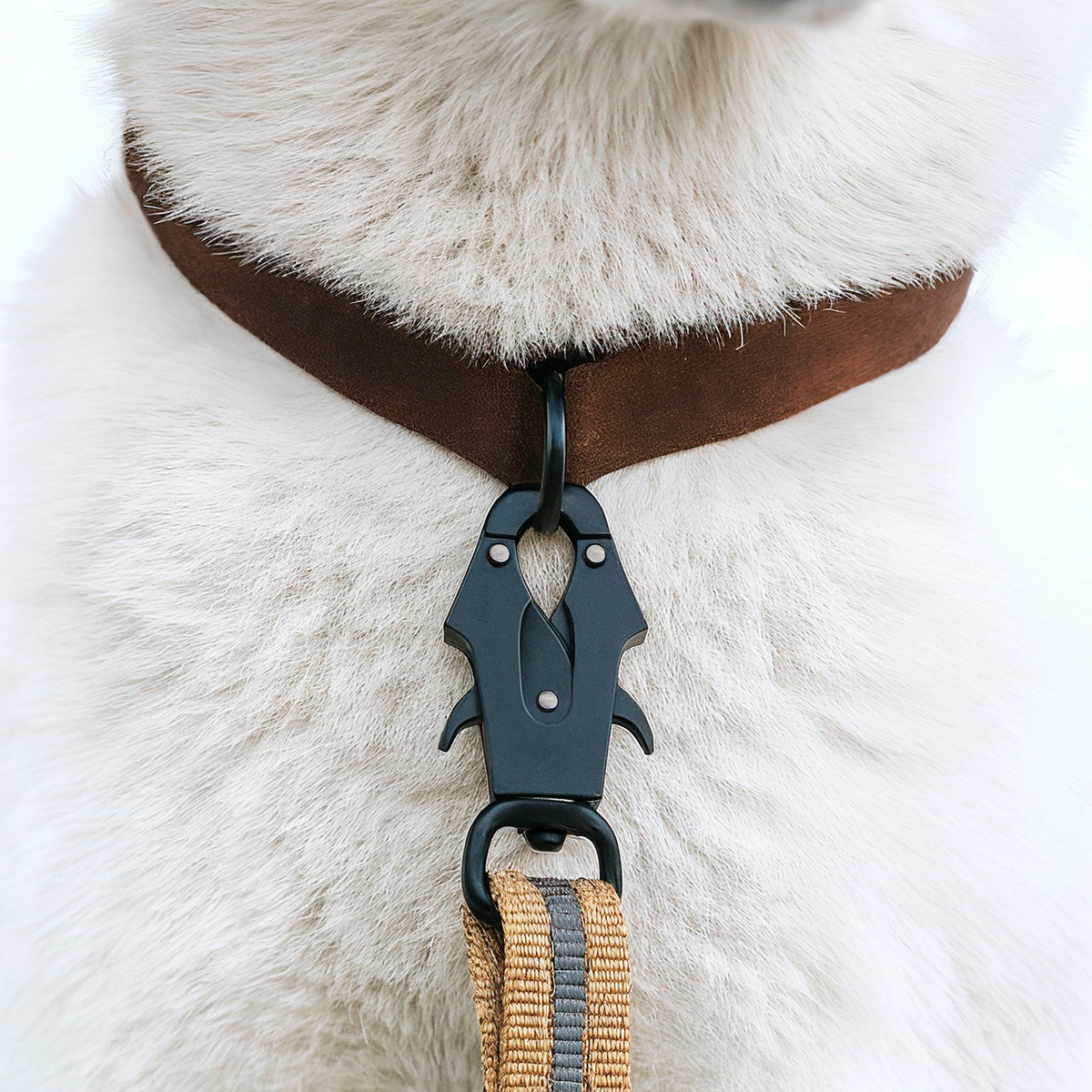 2-in-1 Walking & Car Safety Dog Leash