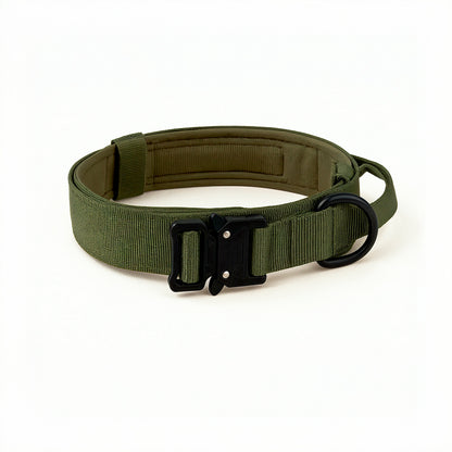 Heavy-Duty Control Dog Collar