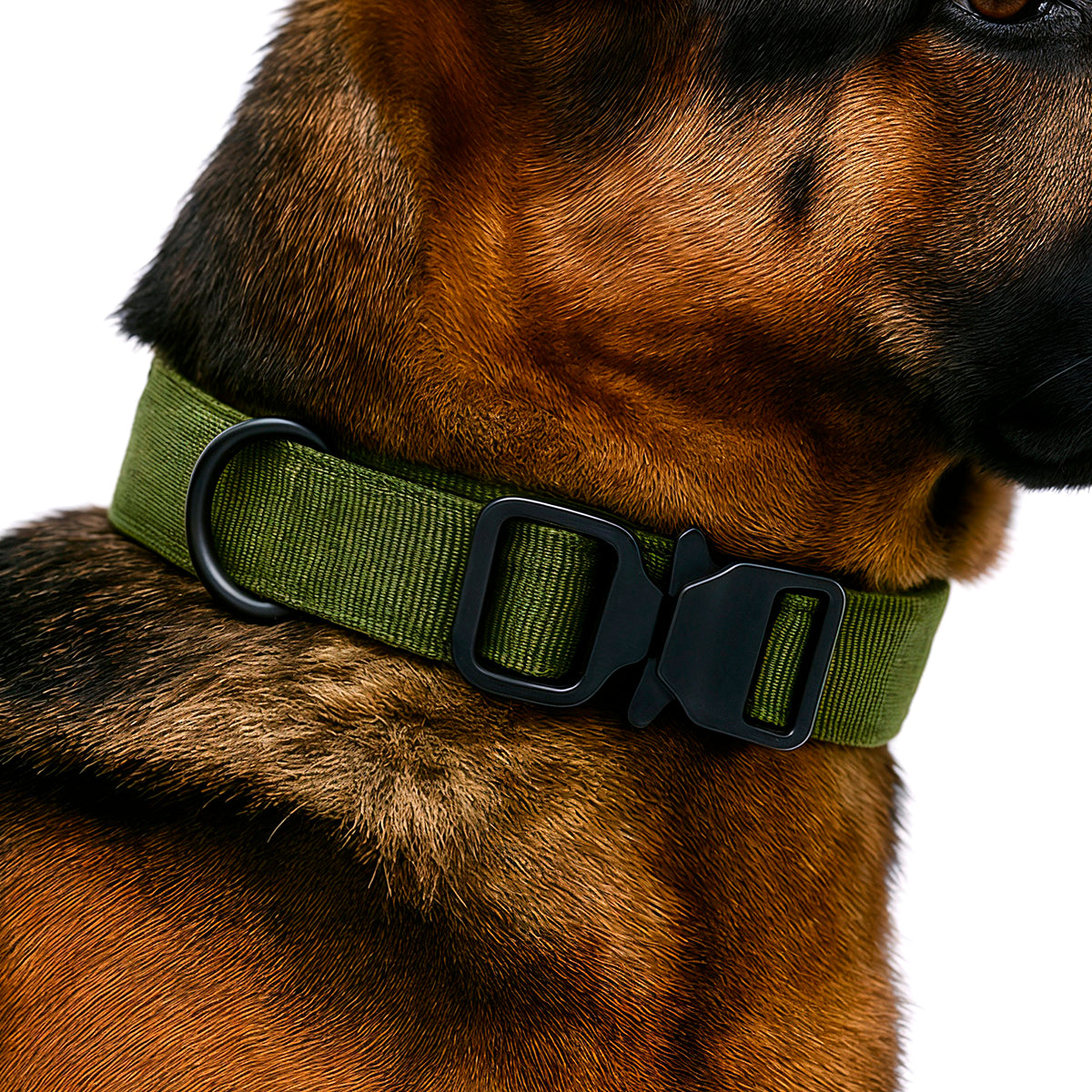 Heavy-Duty Control Dog Collar