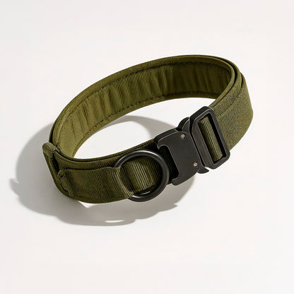 Heavy-Duty Control Dog Collar
