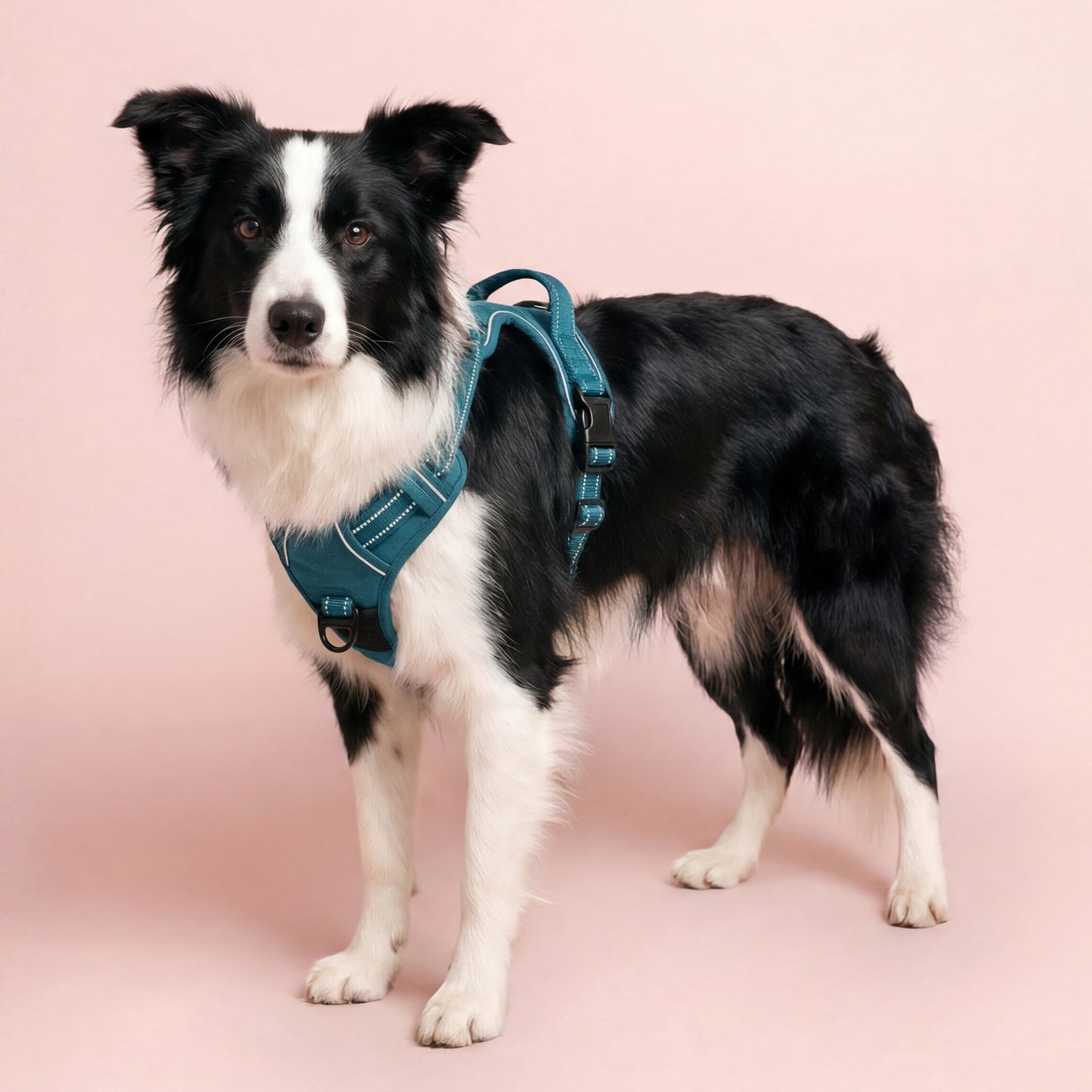 Reflective No-Pull Dog Harness
