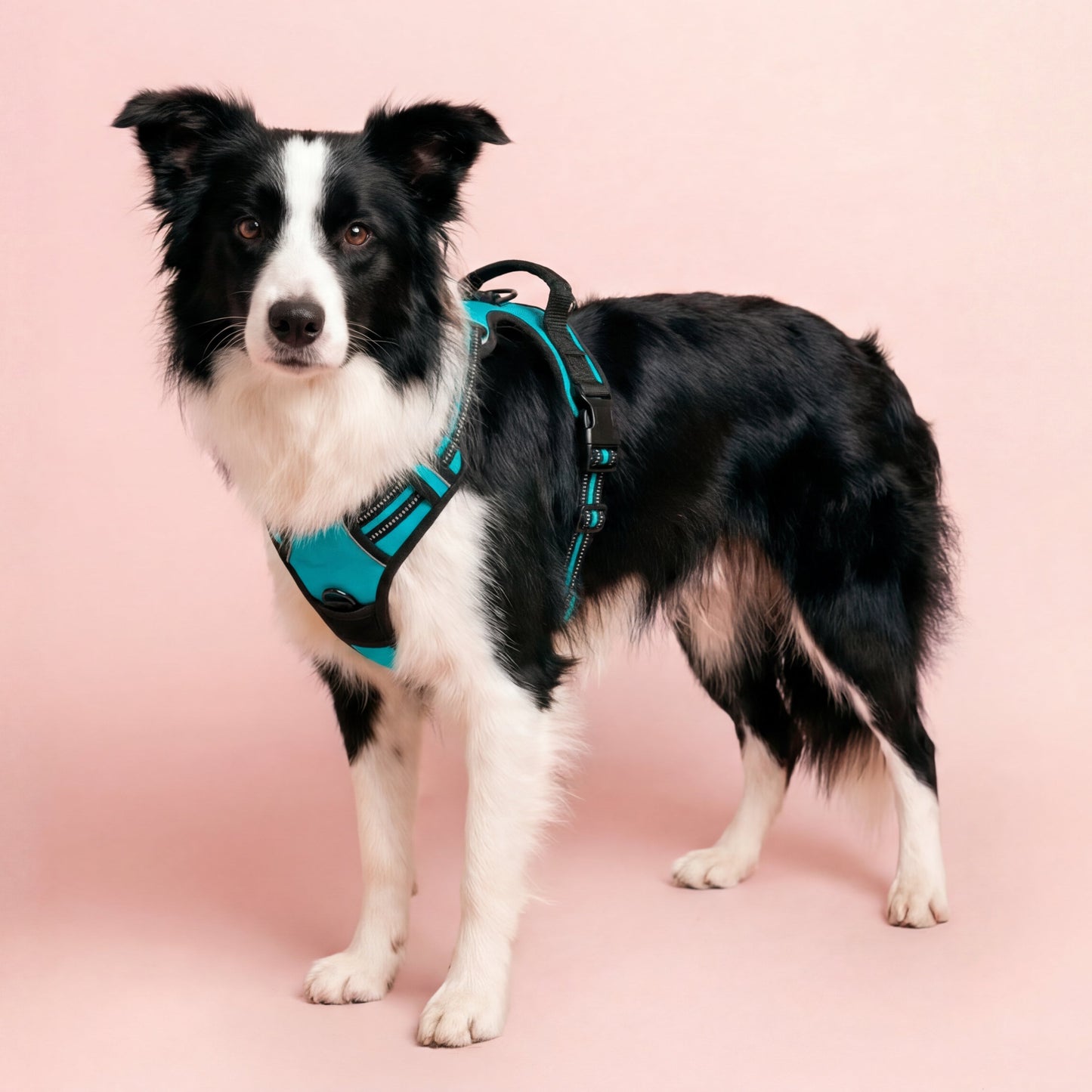 Reflective No-Pull Dog Harness