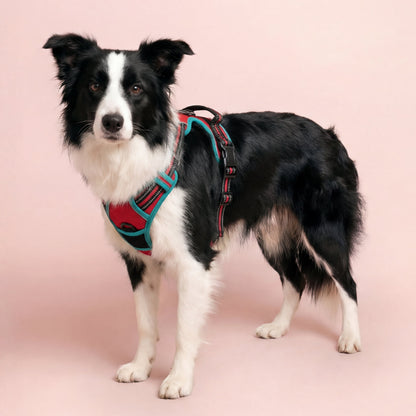 Reflective No-Pull Dog Harness