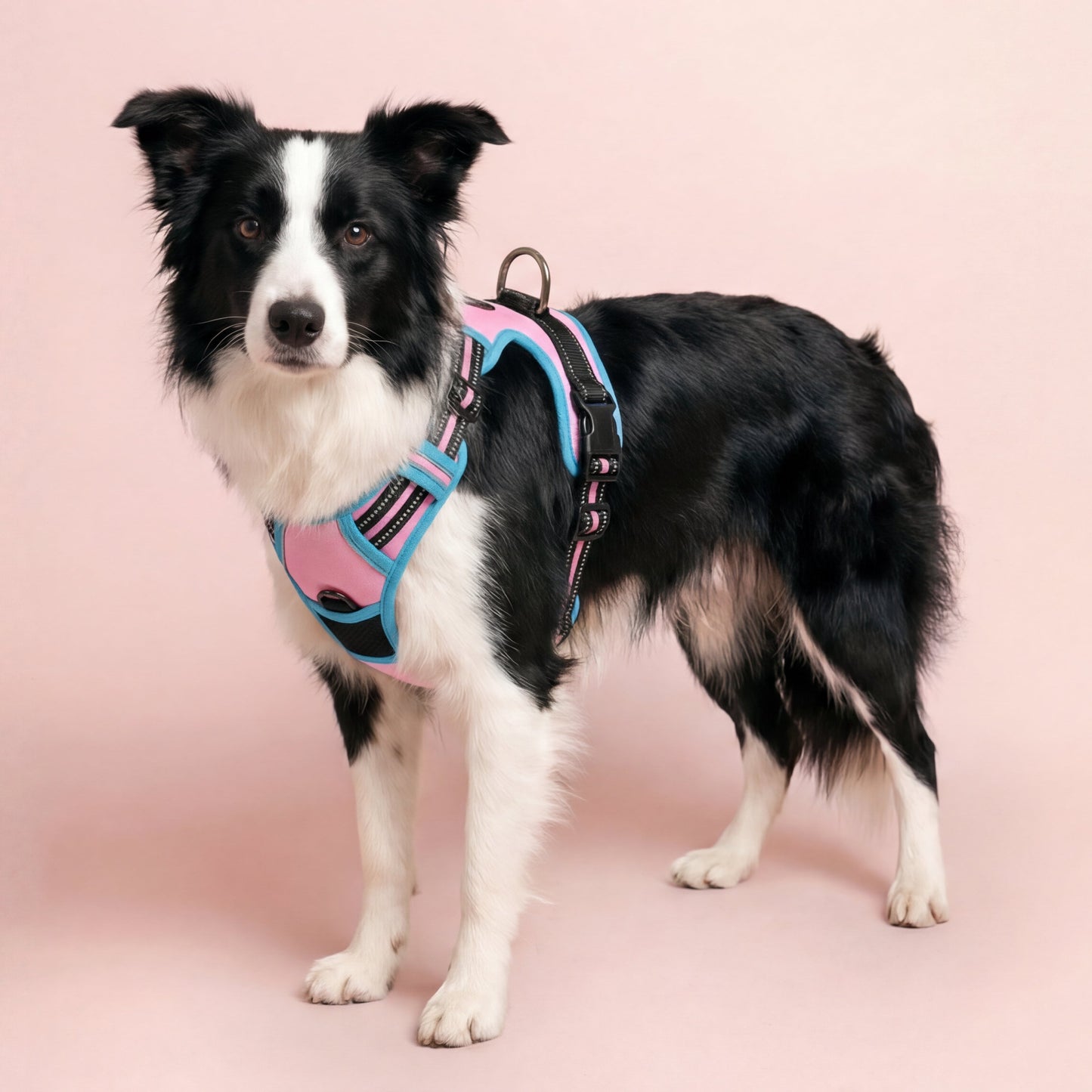 Reflective No-Pull Dog Harness