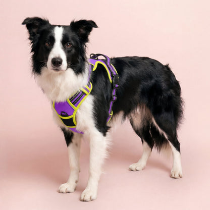 Reflective No-Pull Dog Harness