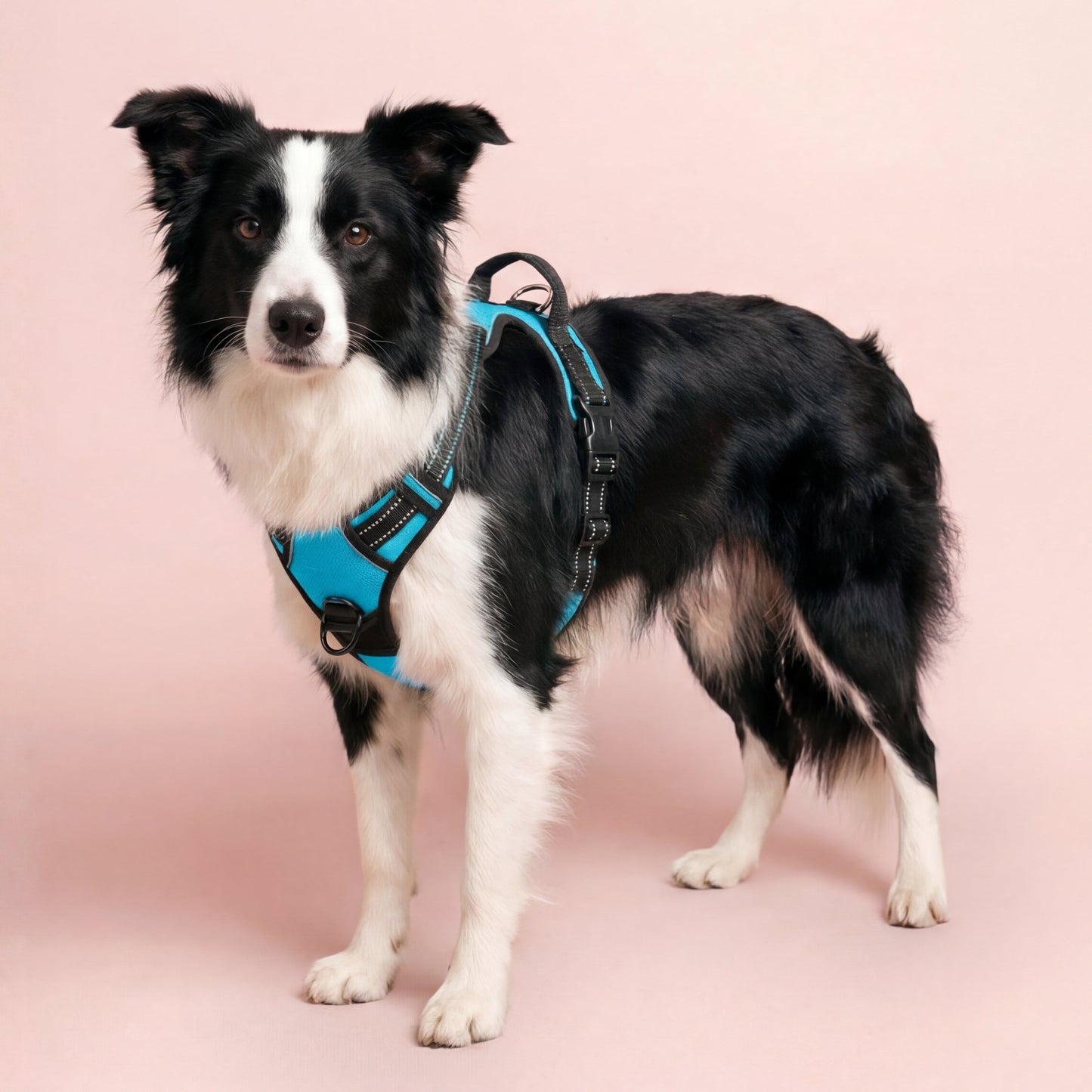 Reflective No-Pull Dog Harness