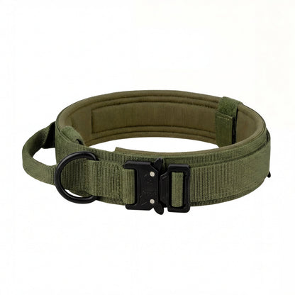 Heavy-Duty Control Dog Collar