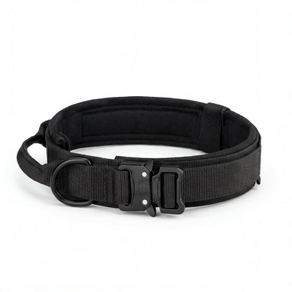 Heavy-Duty Control Dog Collar