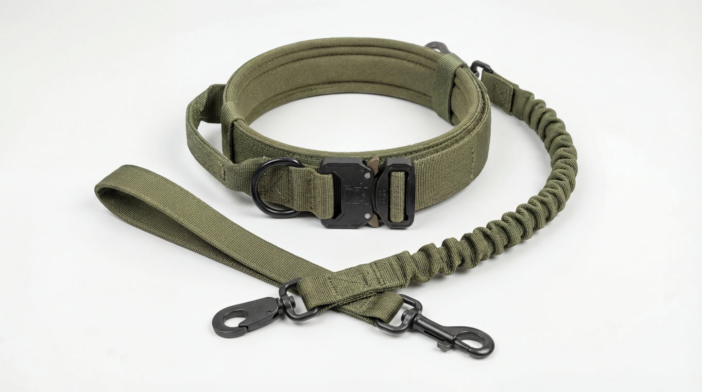 Heavy-Duty Control Dog Collar