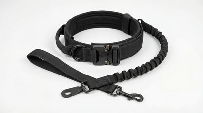 Heavy-Duty Control Dog Collar