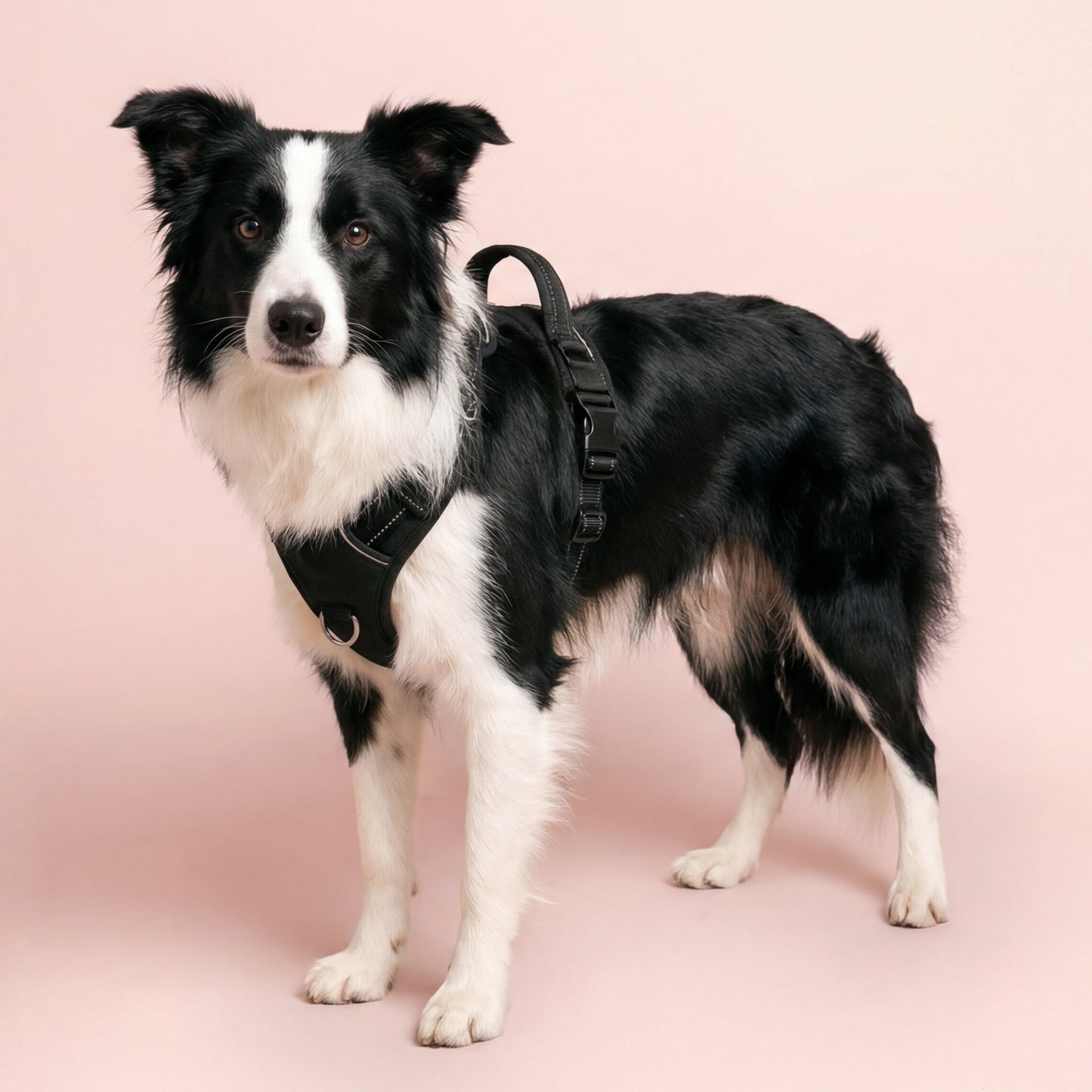 Reflective No-Pull Dog Harness