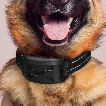 2 in 1 Wireless Dog Fence & Training Collar