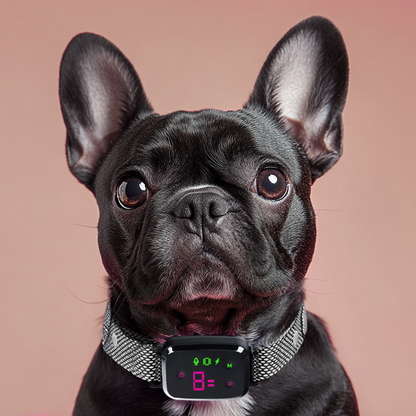 Anti Barking Dog Collar