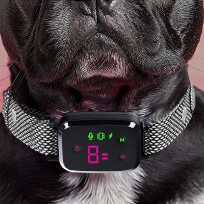 Anti Barking Dog Collar