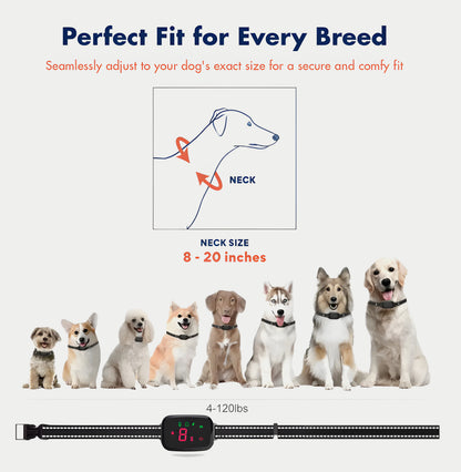 Anti Barking Dog Collar
