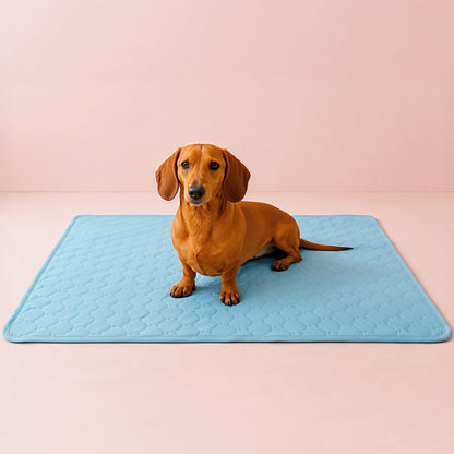 Cooling Mat for Dogs & Cats