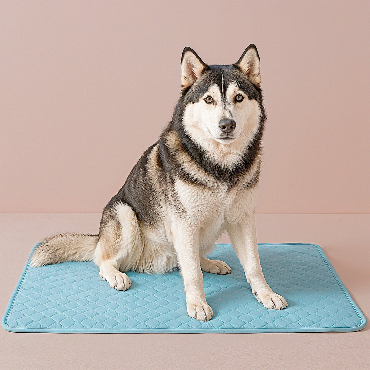 Cooling Mat for Dogs & Cats