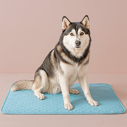 Cooling Mat for Dogs & Cats