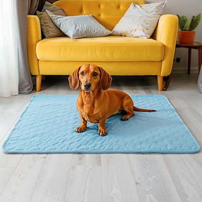 Cooling Mat for Dogs & Cats