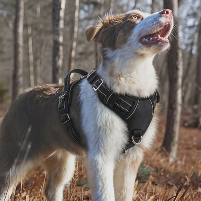 Reflective No-Pull Dog Harness