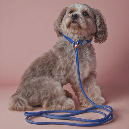 Furmark Slip on Dog Leash