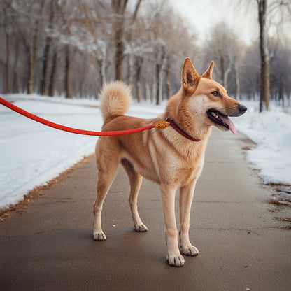 Furmark Slip on Dog Leash