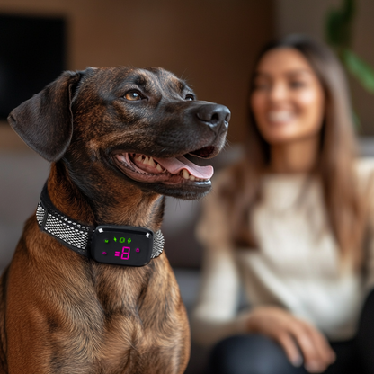Anti Barking Dog Collar