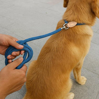 Furmark Slip on Dog Leash